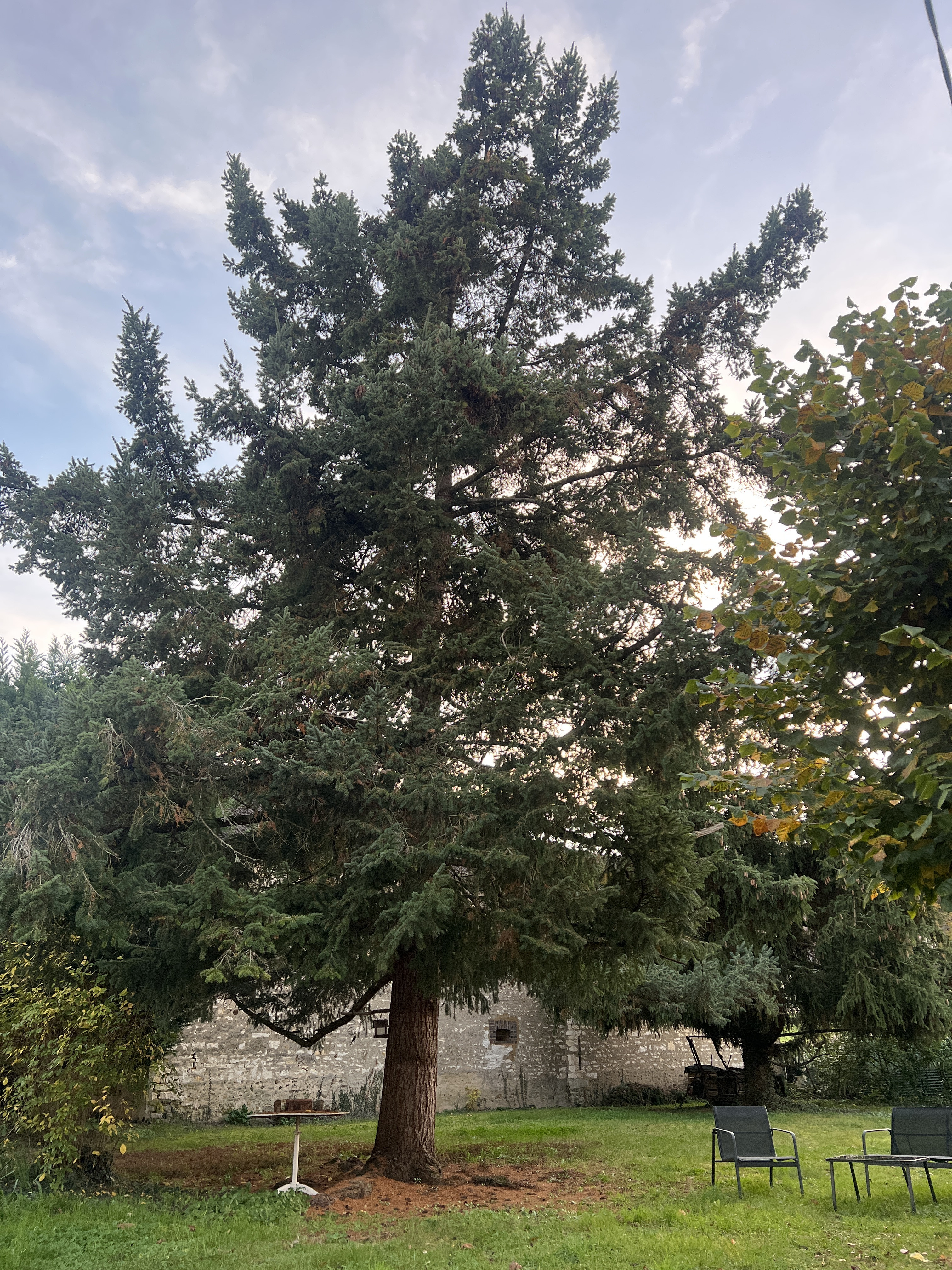 Longère Les Bries à Appoigny : Votre Prochaine Escapade